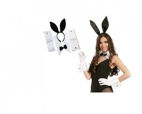 Fun Products - Waitress Bunny Kit (1)