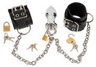 Handcuffs and Plug (1)