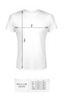 Koszulka - T-shirt men white regular XXL (3)