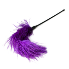 Piórko - Purple Feather Tickler (2)