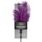 Piórko - Purple Feather Tickler (3)