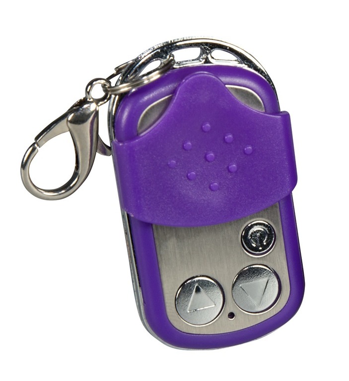 RC Purple & Silky Vibro-bullet (4)