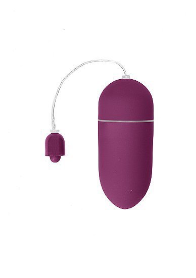 10 Speed Vibrating Egg - Purple (1)